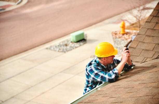 Best Roof Leak Repair  in Tracy, MN