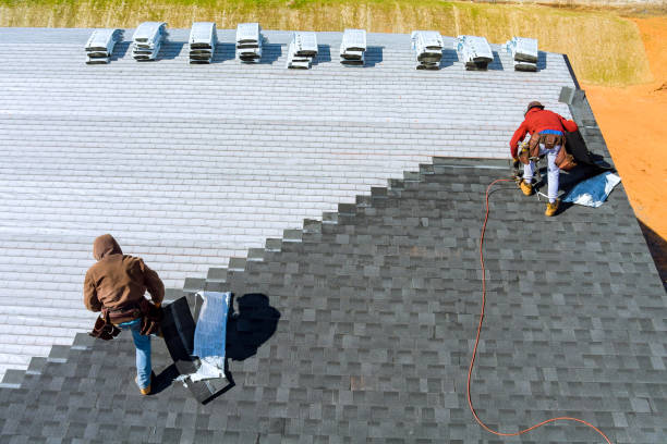 Best Flat Roof Repair Services  in Tracy, MN