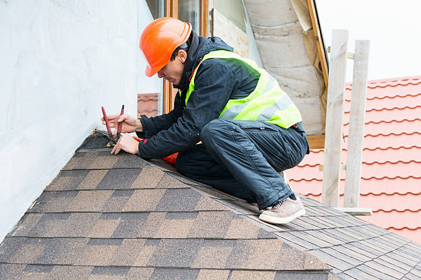Best Roof Gutter Cleaning  in Tracy, MN